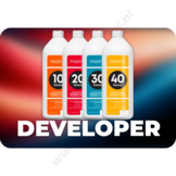 Developer