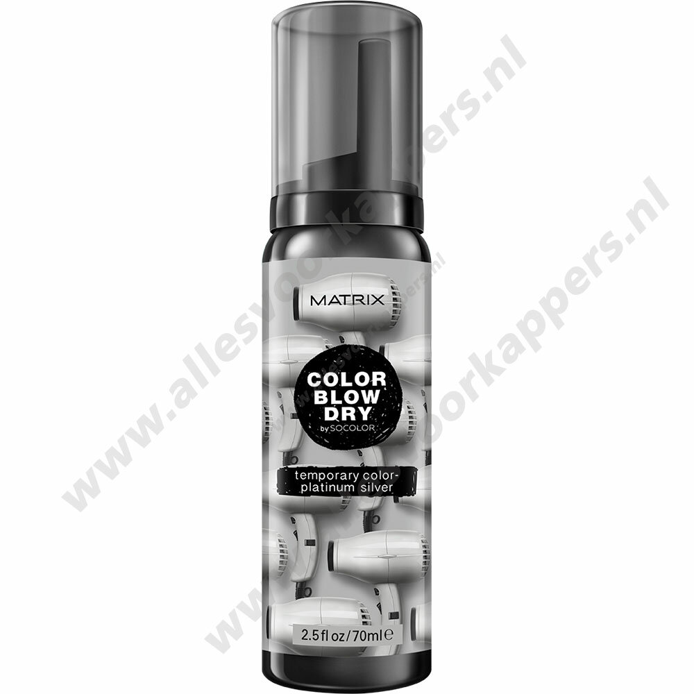 Color blow dry temp color mousse 70ml platinum silver