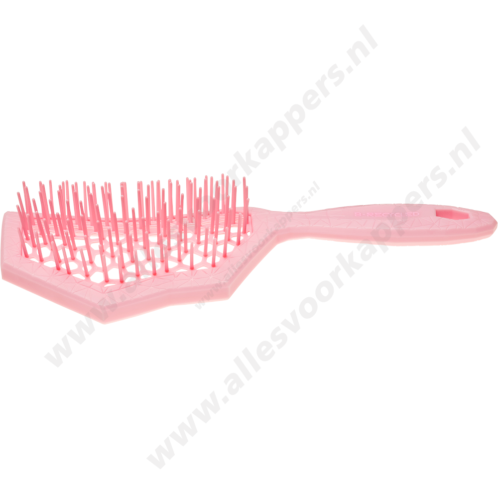 Auroragreen Glacier brush rose