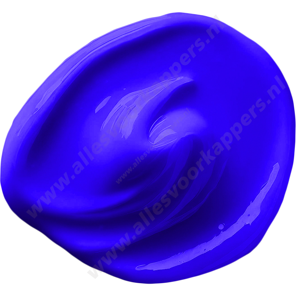 Envite No Yellow Shampoo 1L