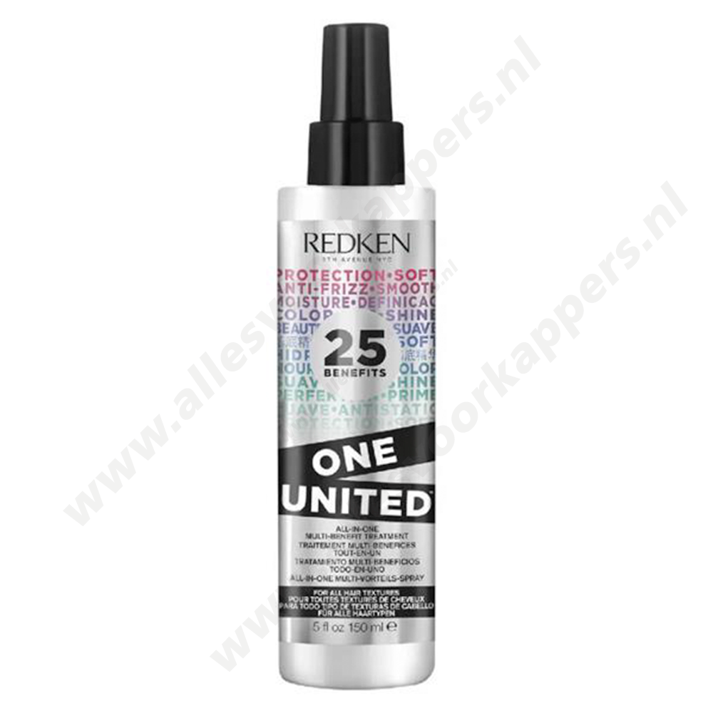 Redken all in one spray 150ml