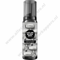 Color blow dry temp color mousse 70ml platinum silver