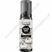 Color blow dry temp color mousse 70ml ash blonde
