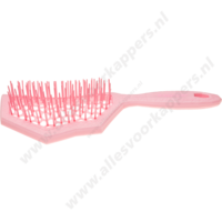 Auroragreen Glacier brush rose