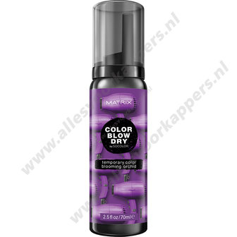 Color blow dry temp color mousse 70ml blooming orchid