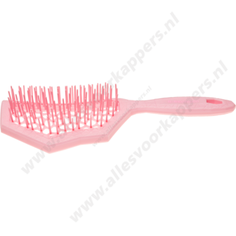 Auroragreen Glacier brush rose