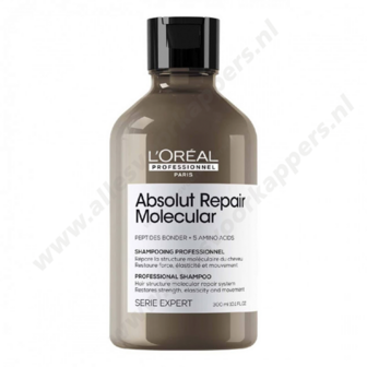 Absolut repair molucular shampoo 300ml