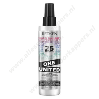 Redken all in one spray 150ml