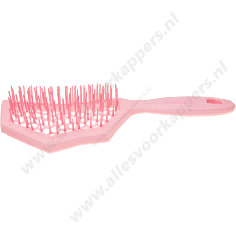 Auroragreen Glacier brush rose