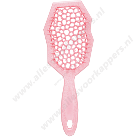 Auroragreen Glacier brush rose