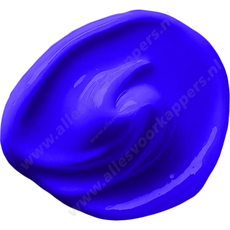 Envite No Yellow Shampoo 250ml