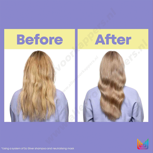 So silver conditioner 300ml