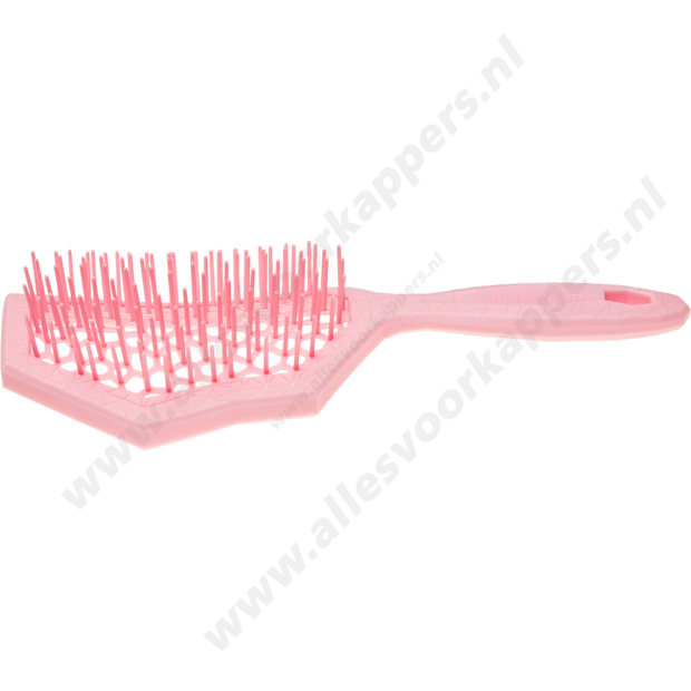 Auroragreen Glacier brush rose