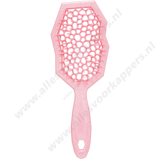 Auroragreen Glacier brush rose