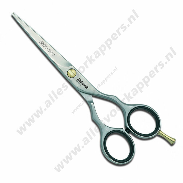 Jaguar pre style ergo 5.5  slice